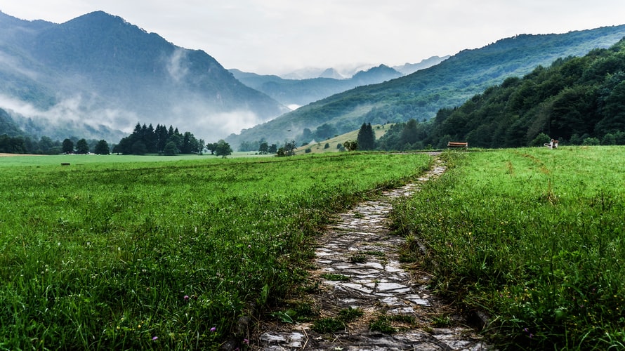 Path leading into the distance.